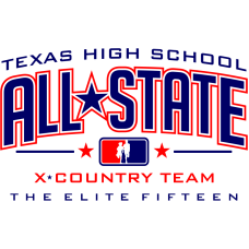 All State 6.1oz.+ White Gilden Pre-shrunk T-Shirt (Roster Back)